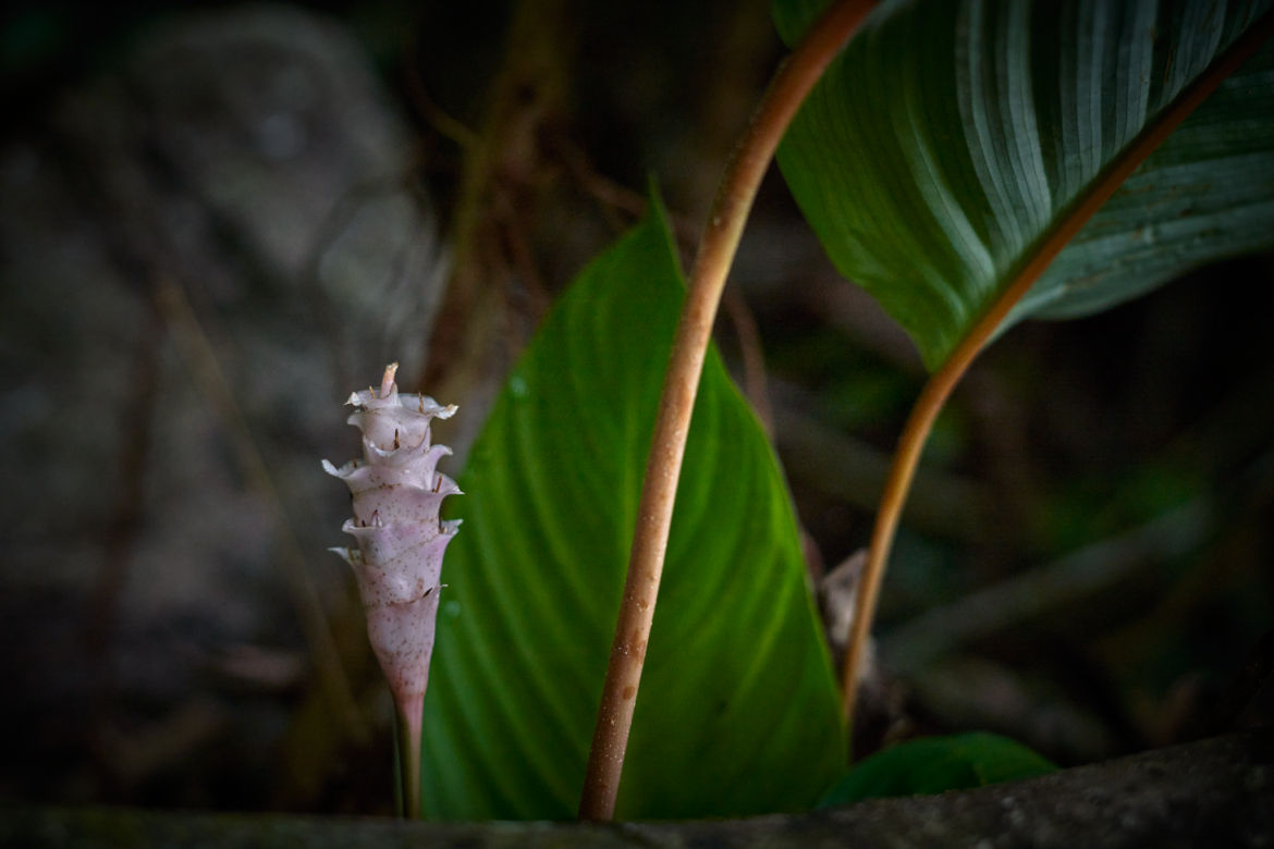 _DSC4804