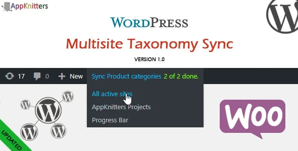 WordPress MultiSite Taxonomy Sync
