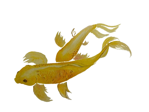 Rio Latir